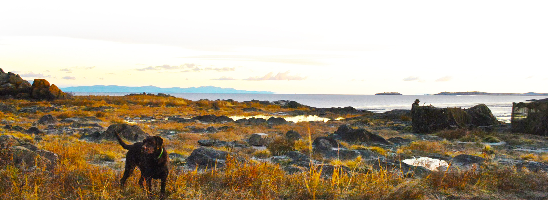 plage-chasse