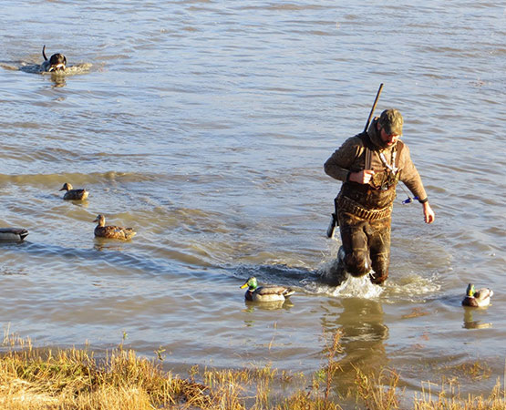 Domaine de l'Île au Canot - Une experience de chasse des plus uniques!